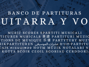 Guitarra y voz
