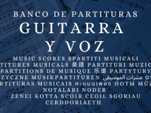 Guitarra y voz